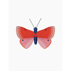 A placeholder image for for Bastel-Set "Speckled Copper Butterfly" 