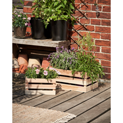 The image of Holzkiste