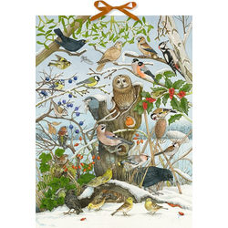 A placeholder image for for Unsere Vögel im Winter - Sound-Adventskalender von Christine Henkel 