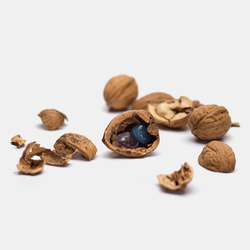 A placeholder image for for Zaubernuss 