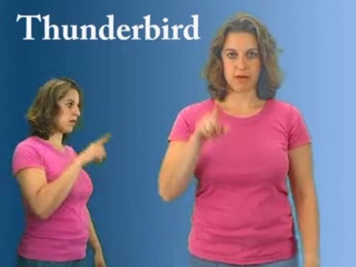 Vorschaubild des Videos